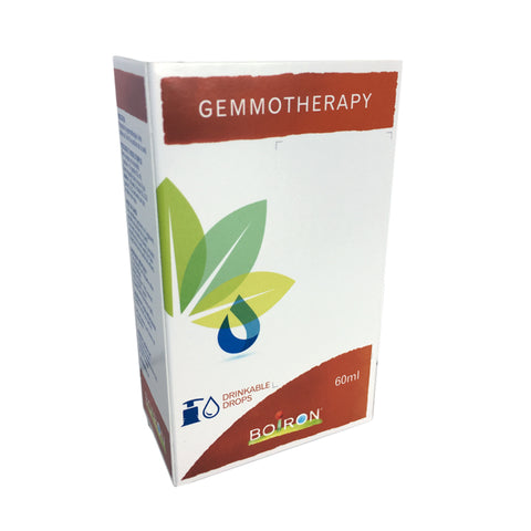 Gemmotherapy - Liquid Extracts (1DH / 1X)