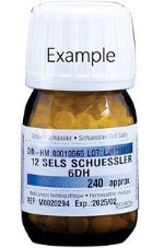 Schuessler Cell Salt Tablets (6X/6DH)